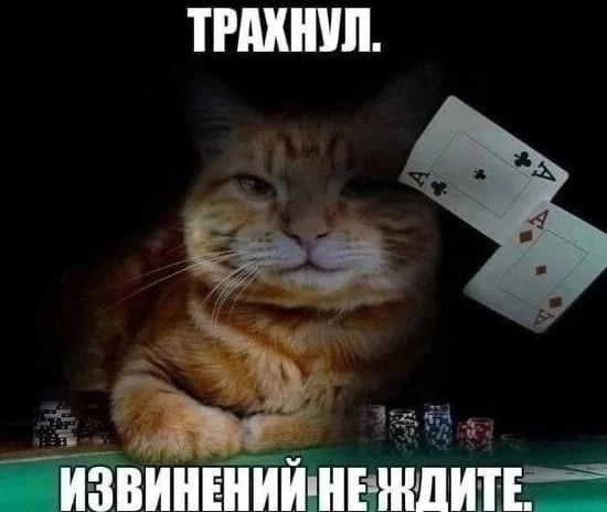 {TEXT?}
