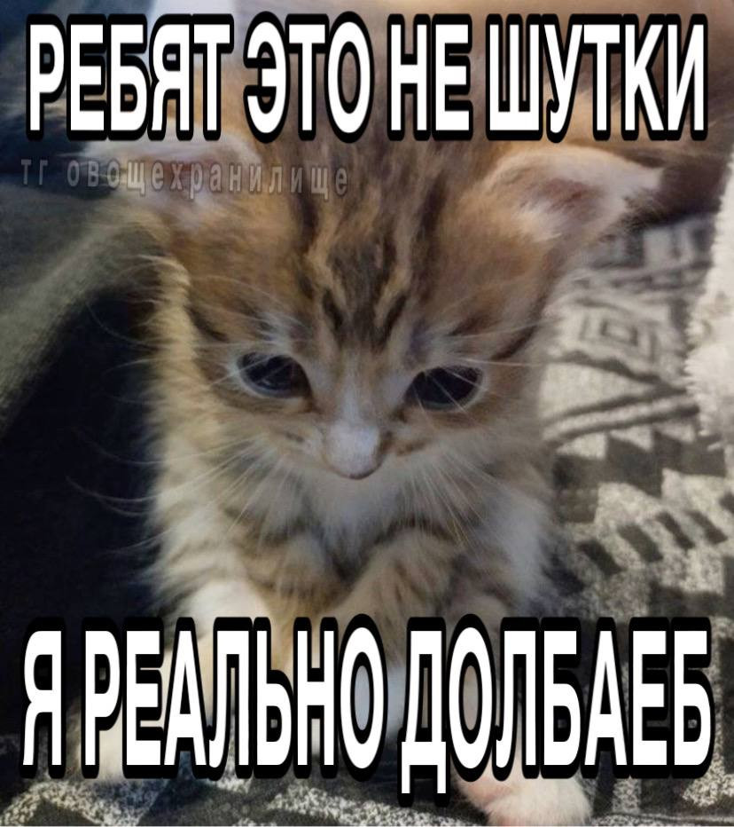 {TEXT?}