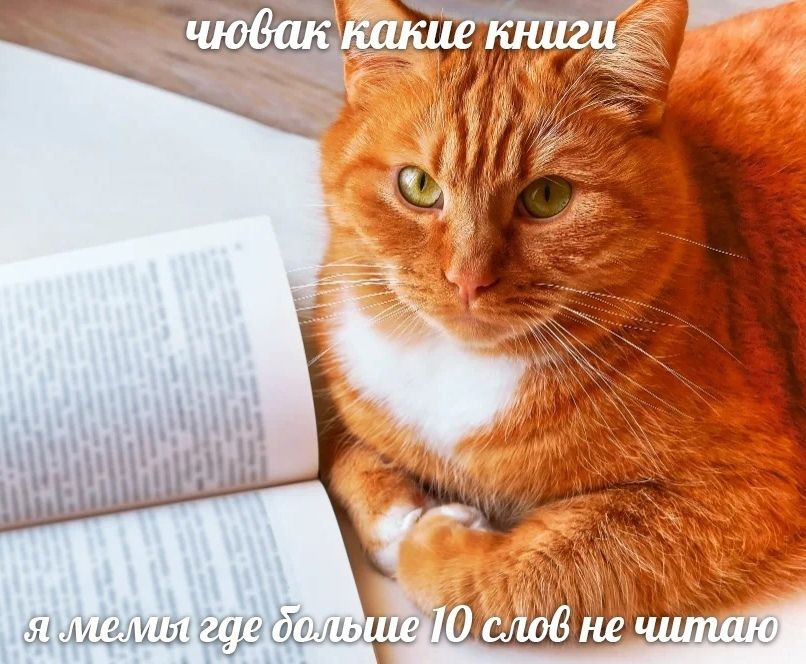 {TEXT?}