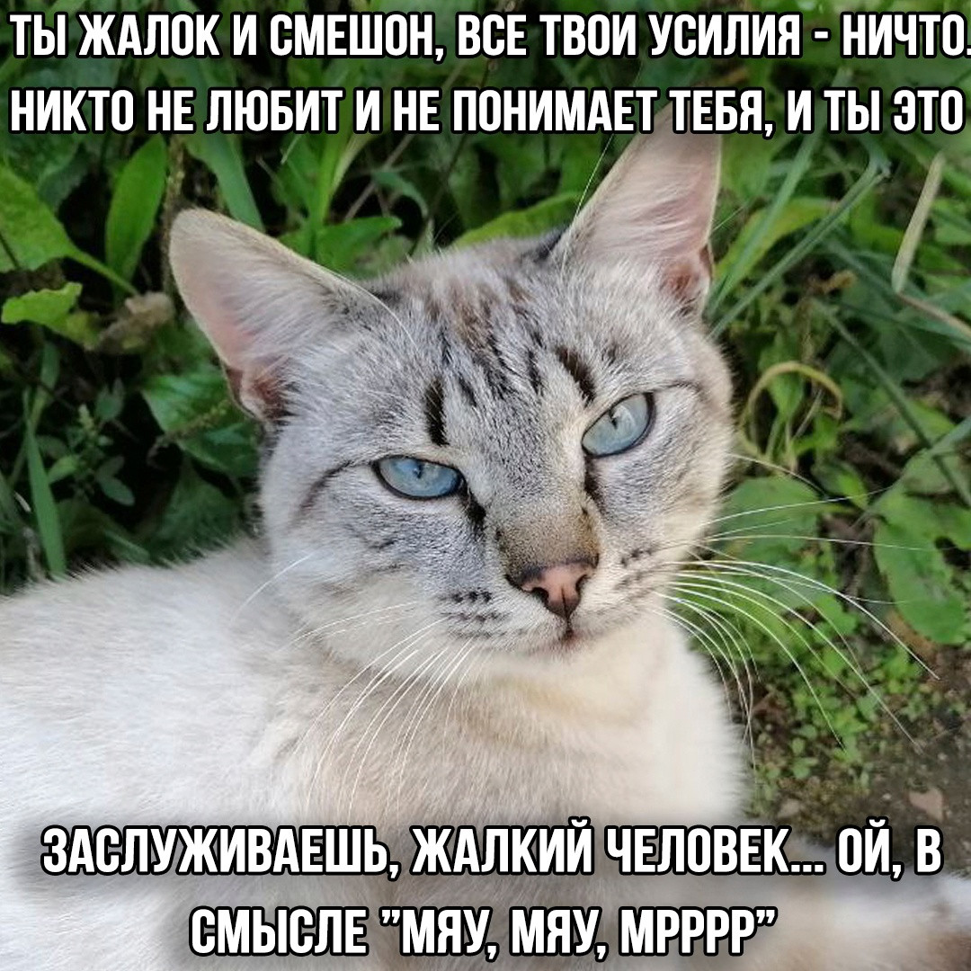 {TEXT?}
