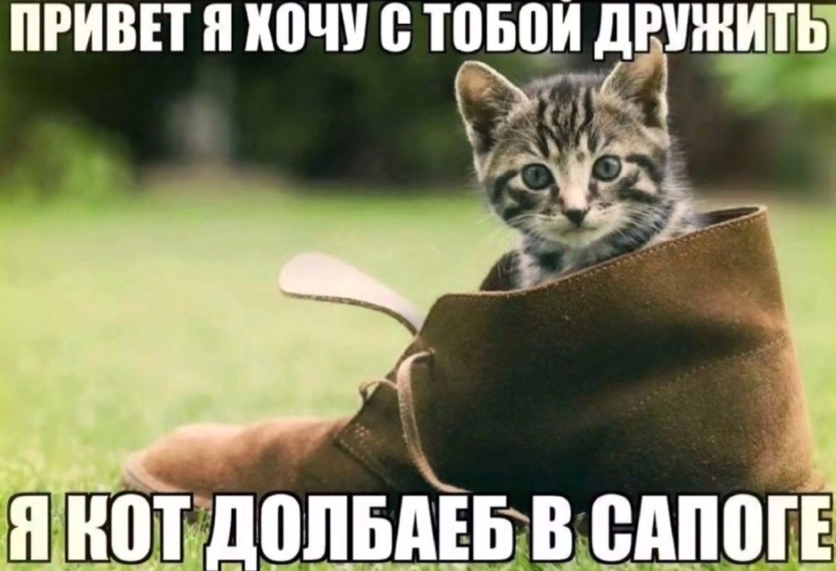 {TEXT?}