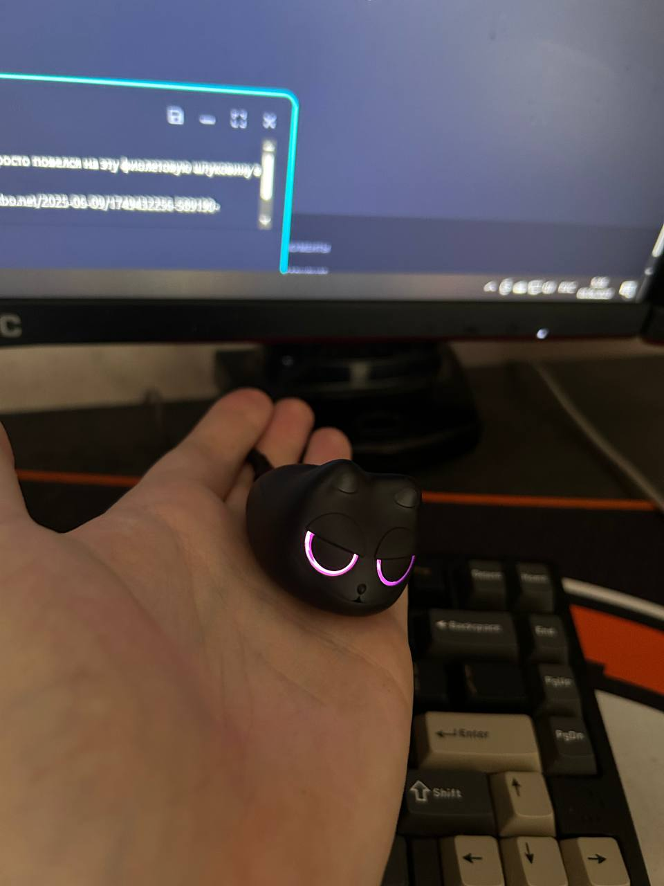 {TEXT?}