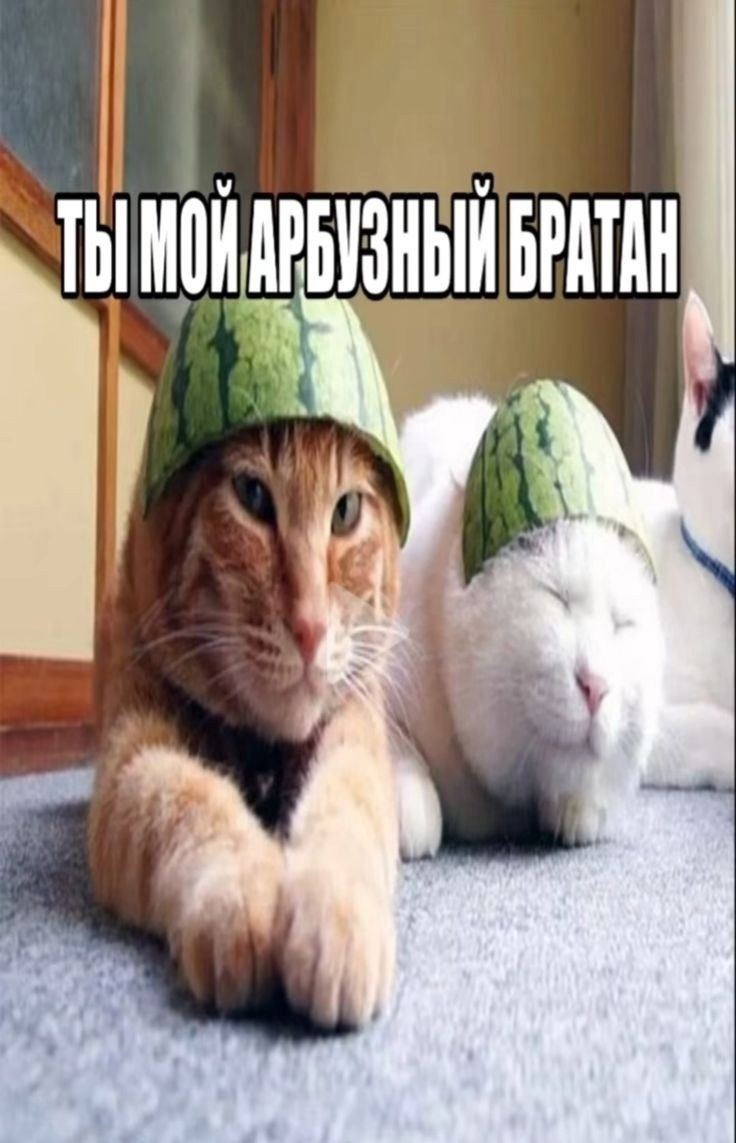 {TEXT?}