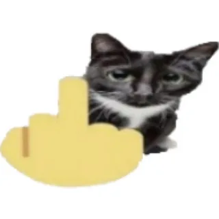 {TEXT?}