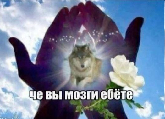 {TEXT?}