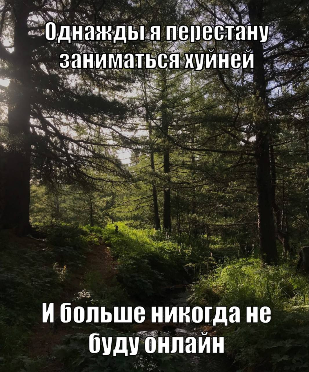 {TEXT?}