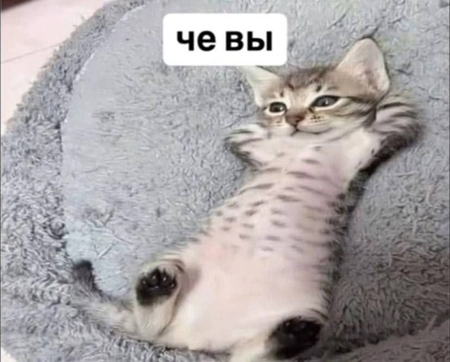 {TEXT?}