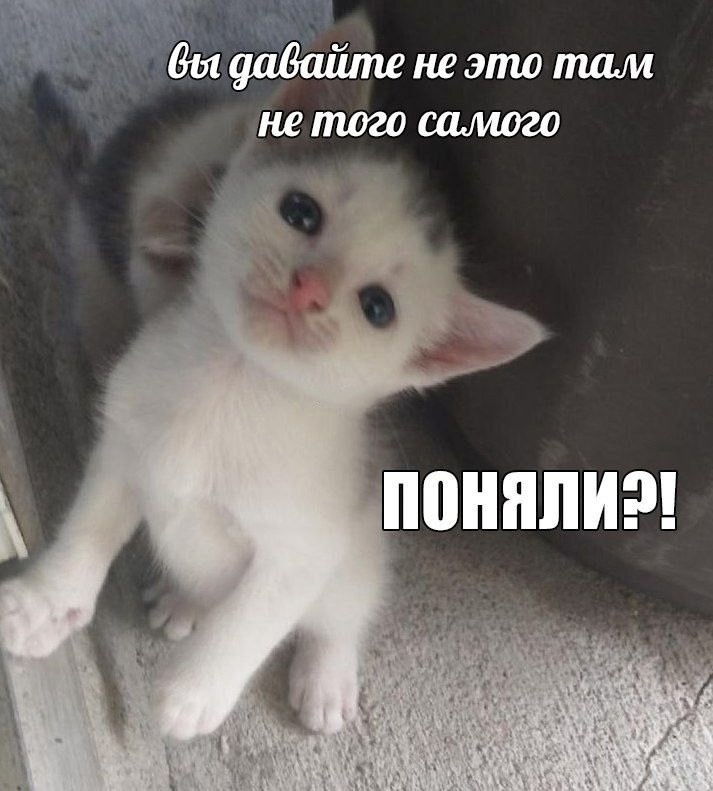 {TEXT?}