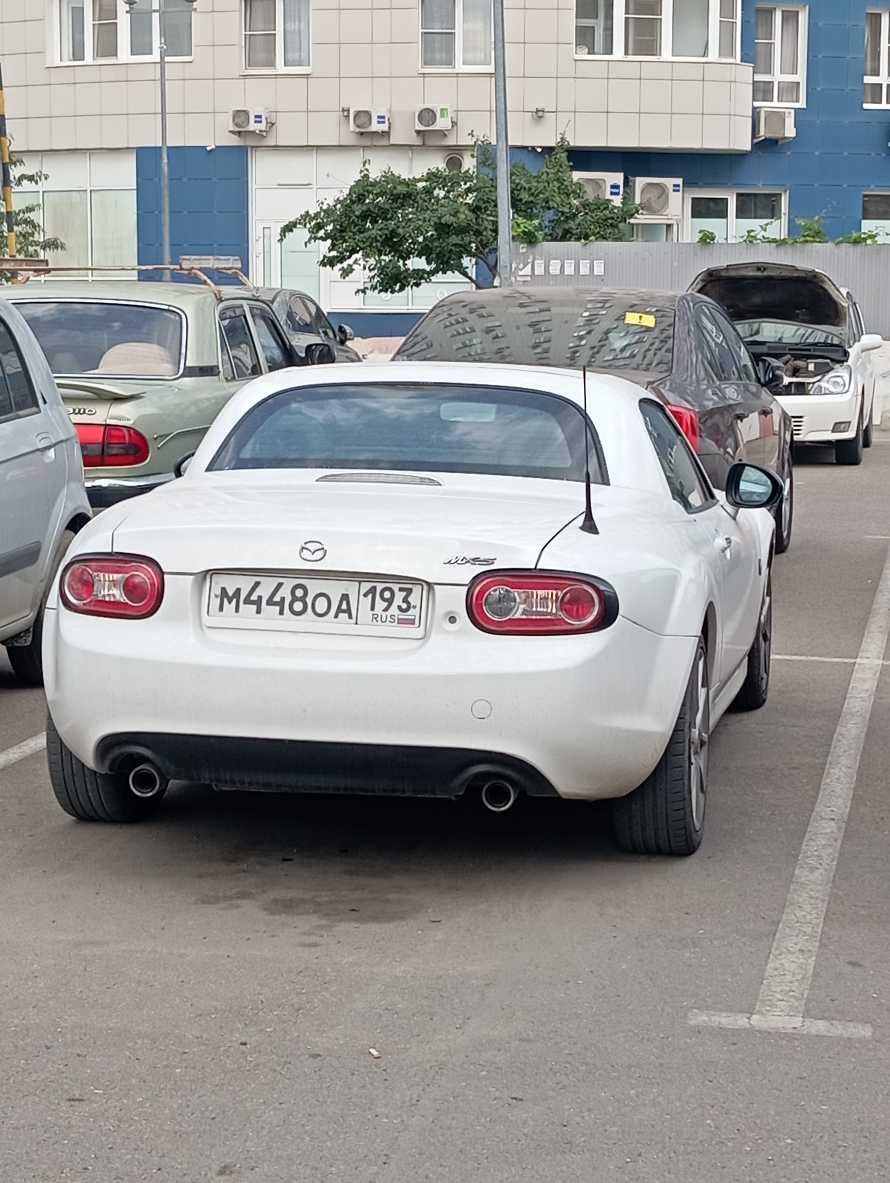 {TEXT?}