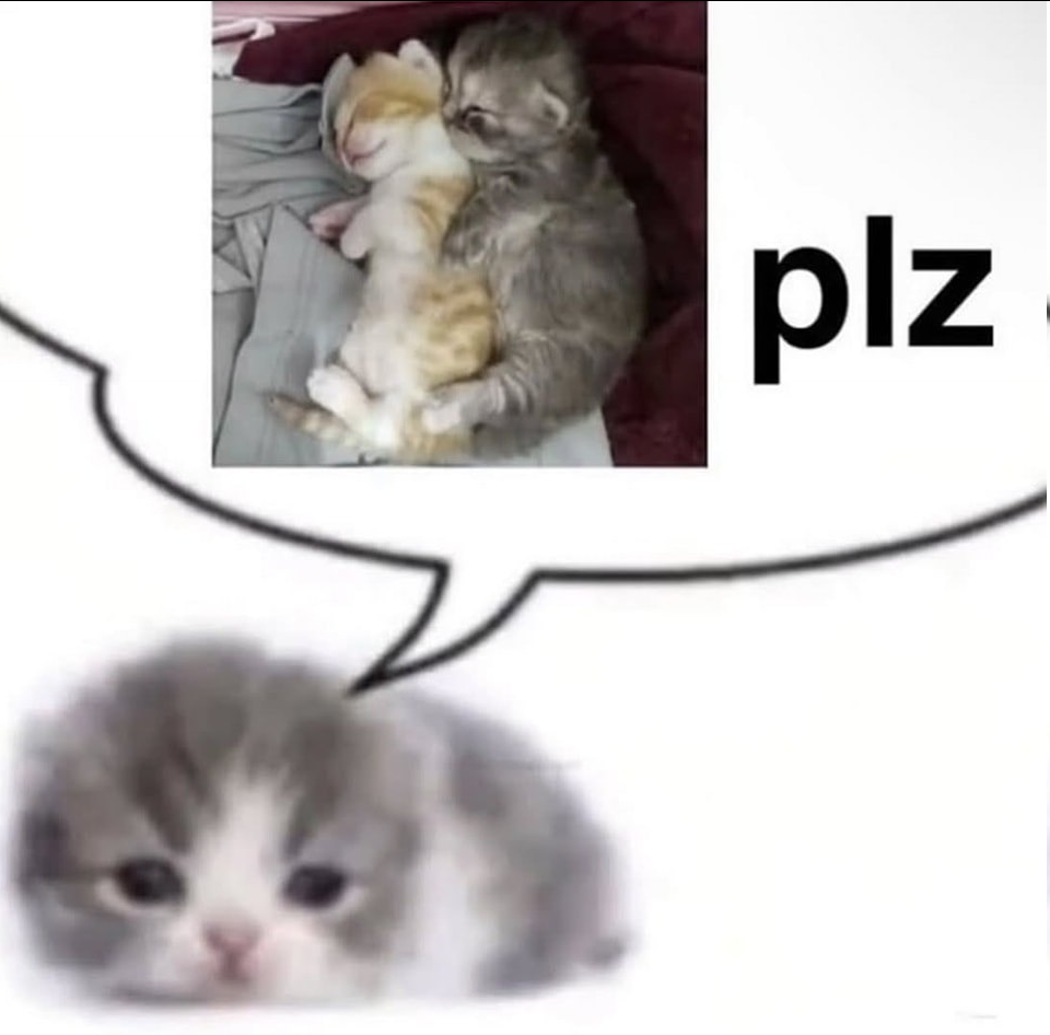 {TEXT?}