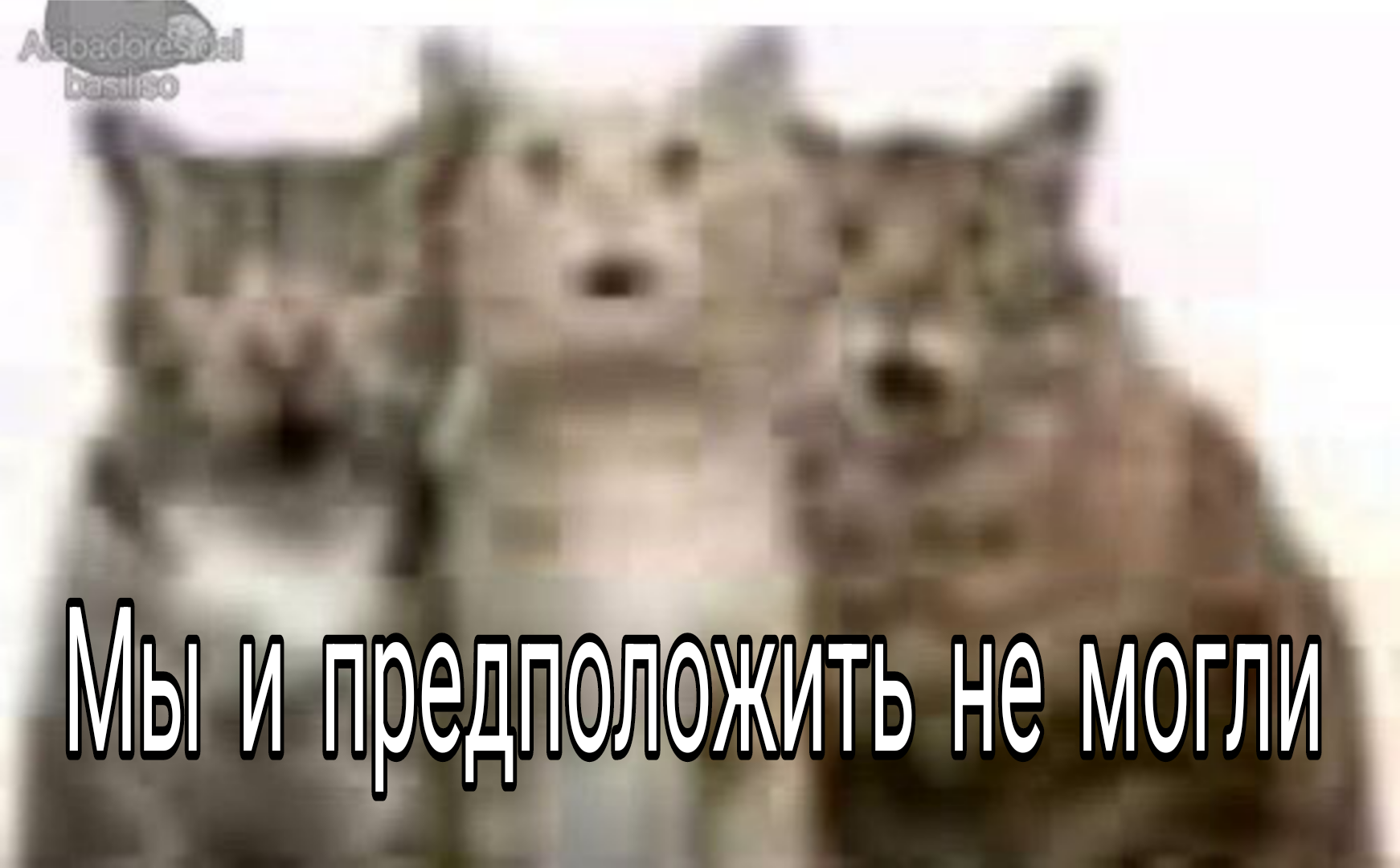 {TEXT?}