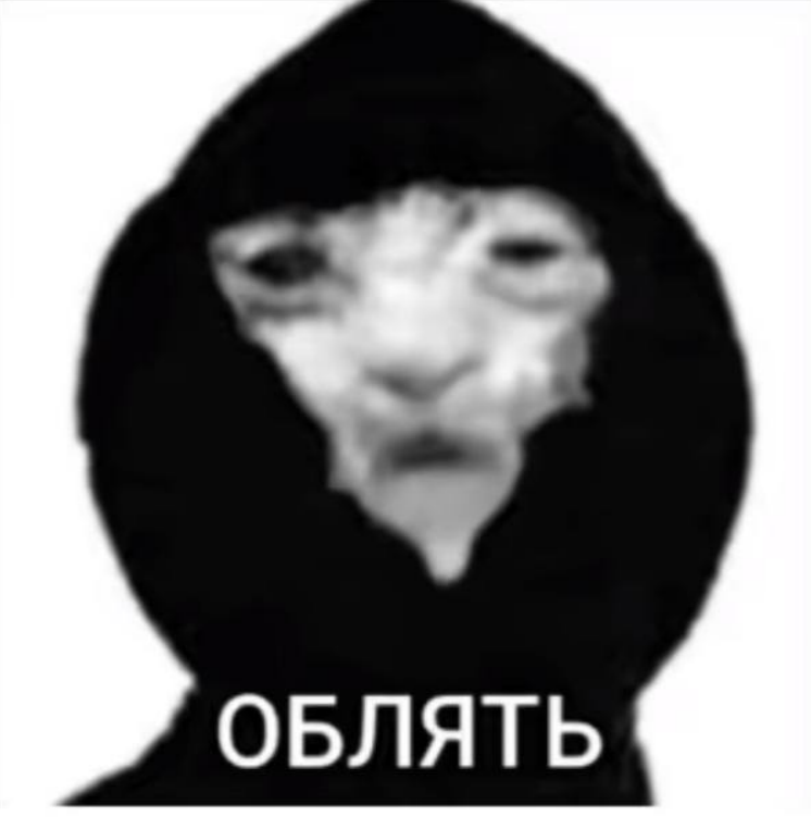 {TEXT?}