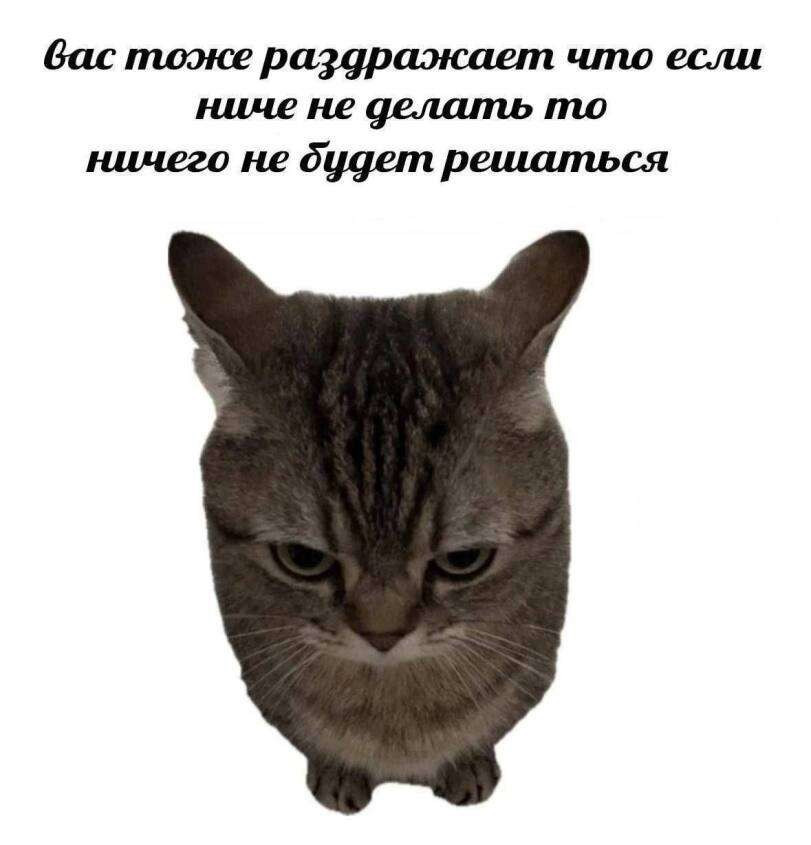 {TEXT?}