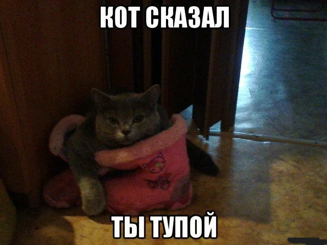 {TEXT?}