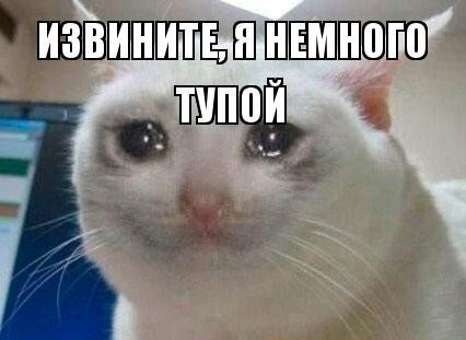 {TEXT?}