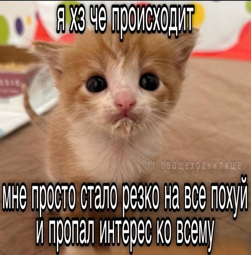 {TEXT?}