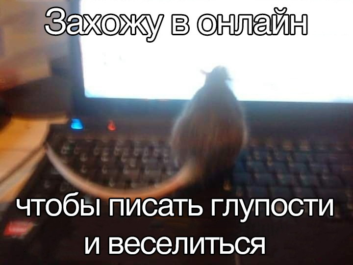 {TEXT?}