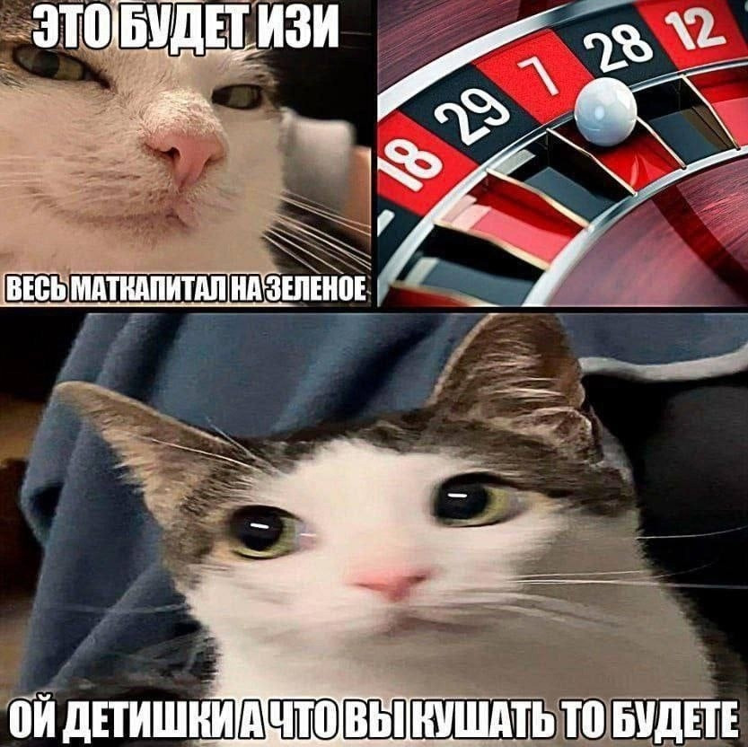 {TEXT?}