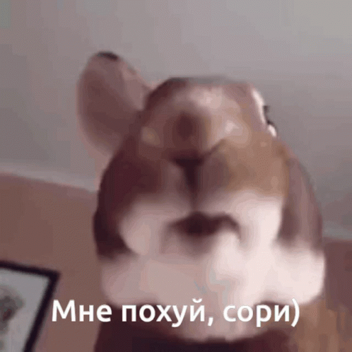 {TEXT?}