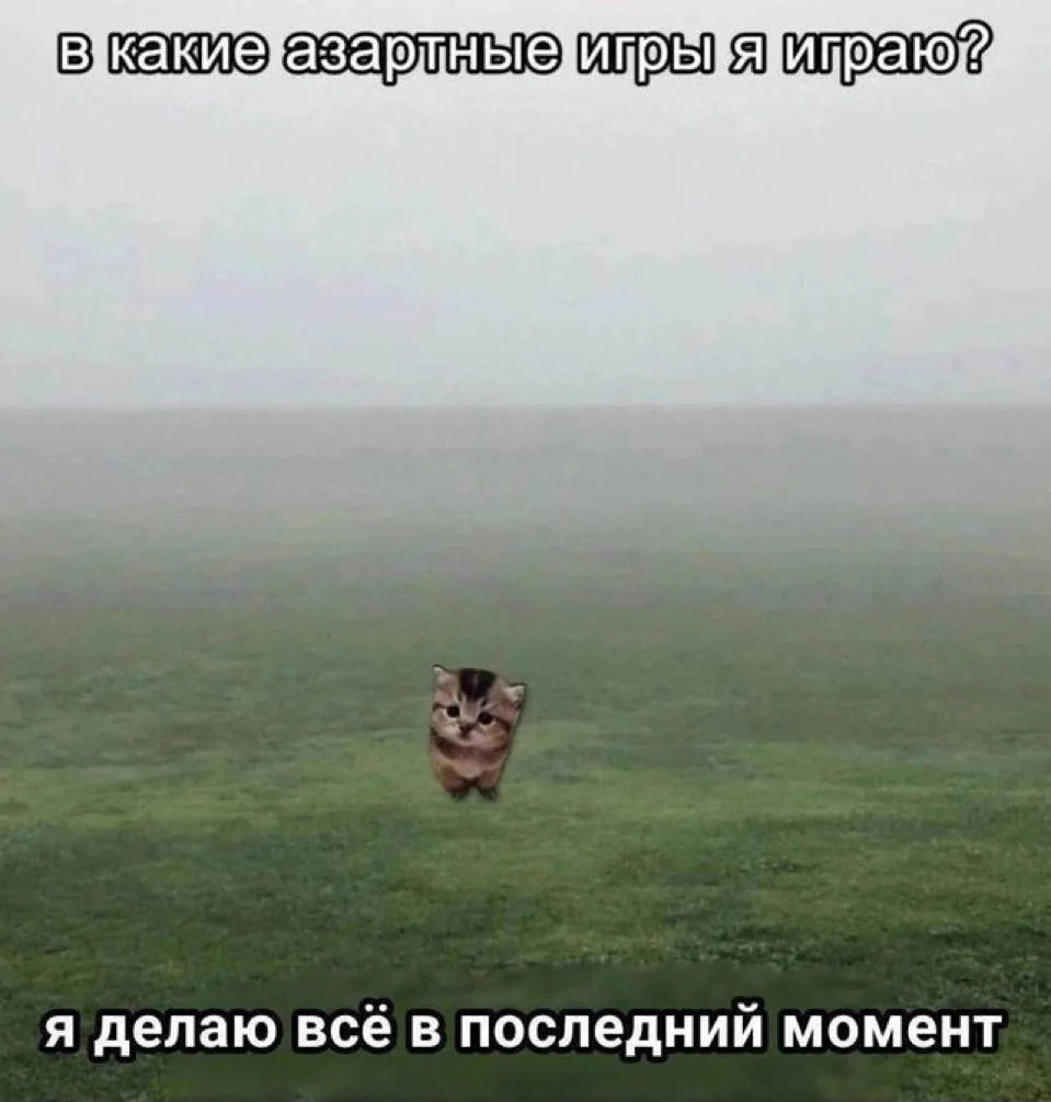 {TEXT?}