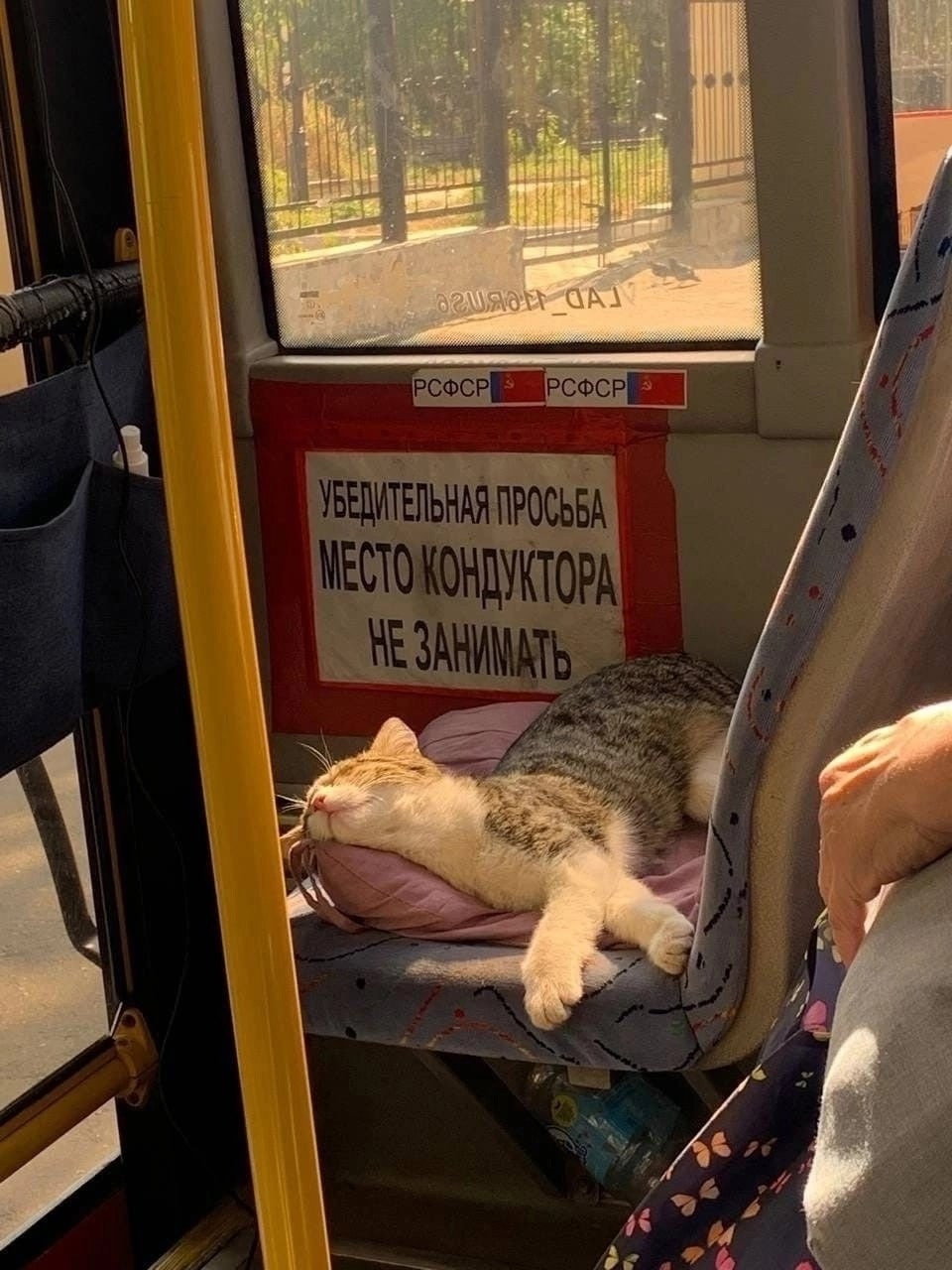 {TEXT?}