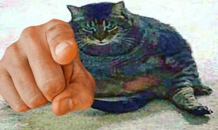 {TEXT?}