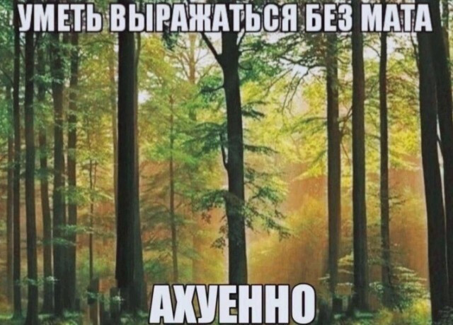 {TEXT?}