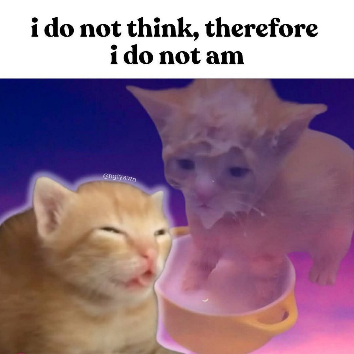 {TEXT?}