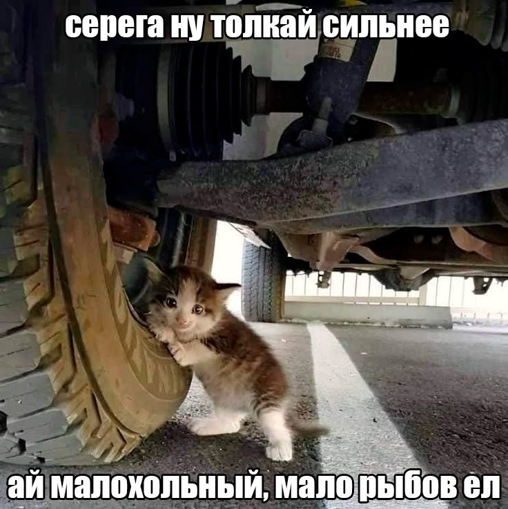 {TEXT?}