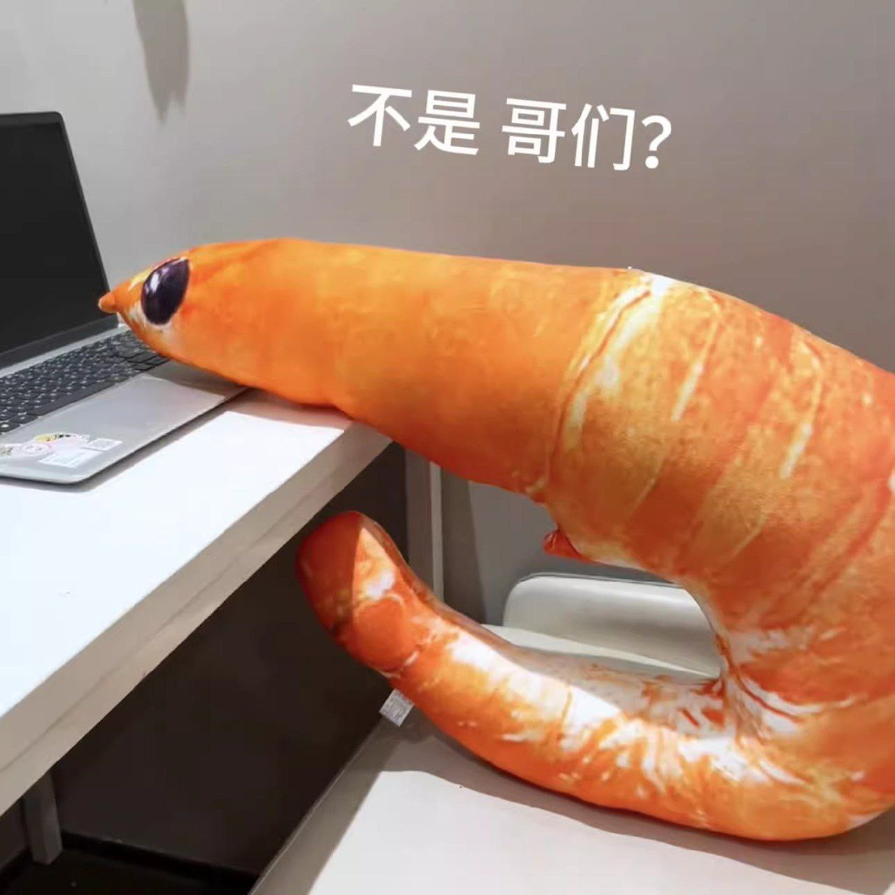 {TEXT?}