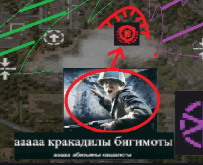 {TEXT?}