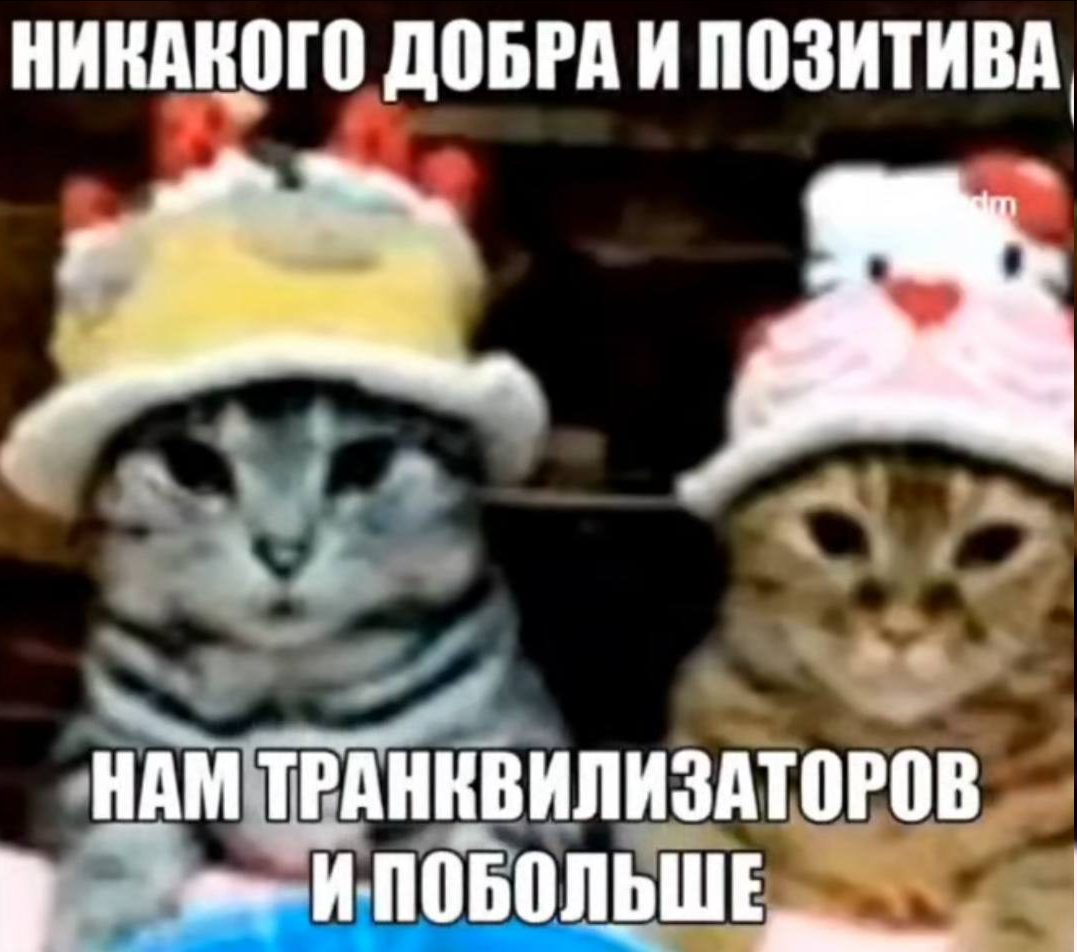 {TEXT?}