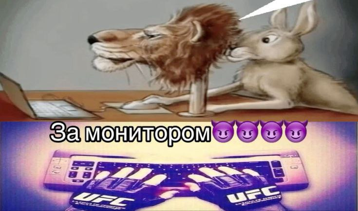 {TEXT?}