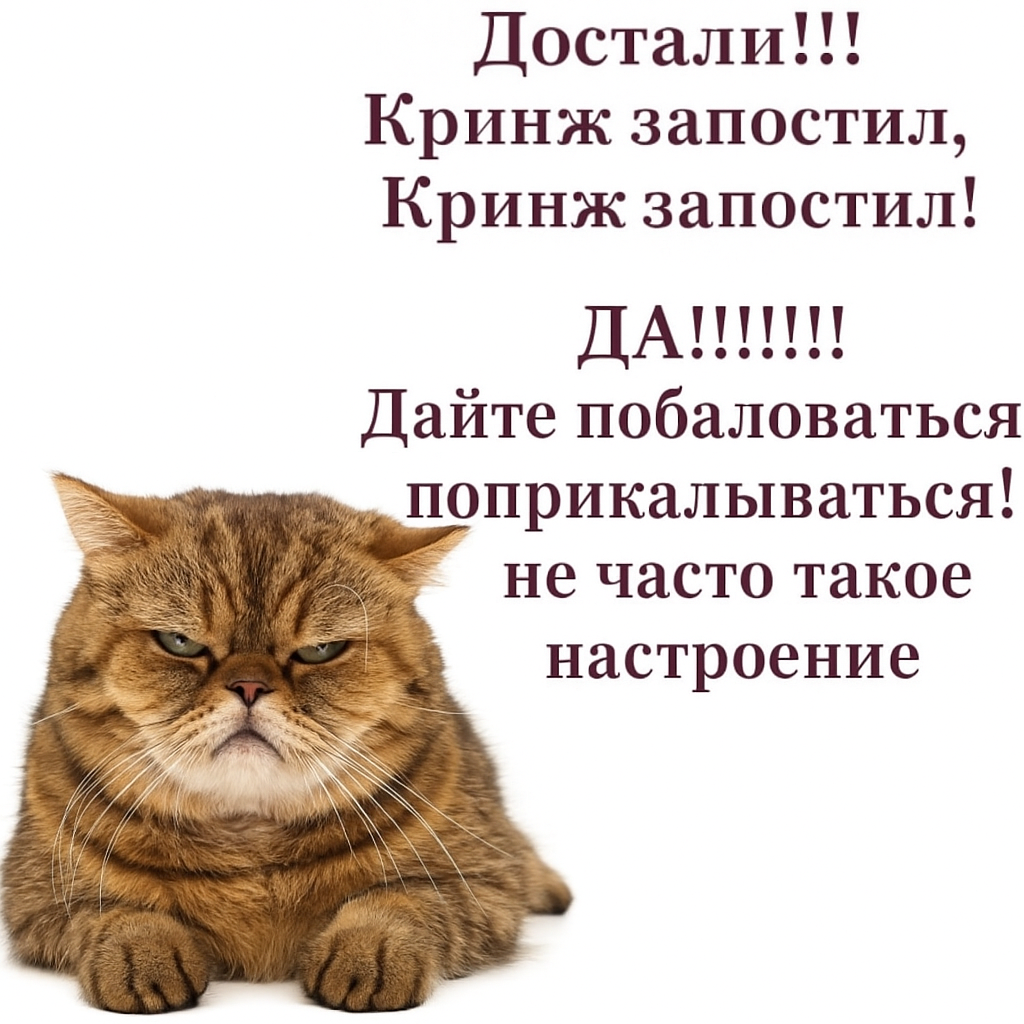 {TEXT?}