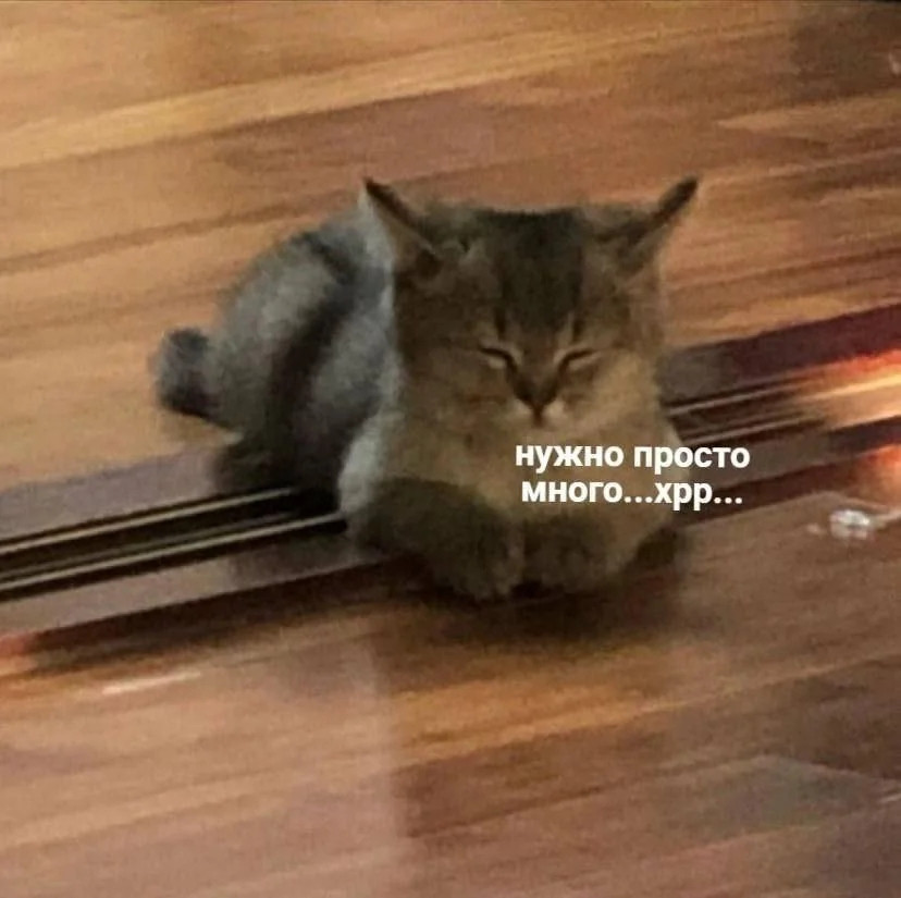 {TEXT?}