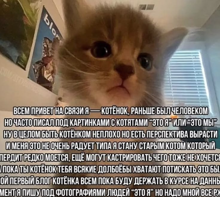 {TEXT?}