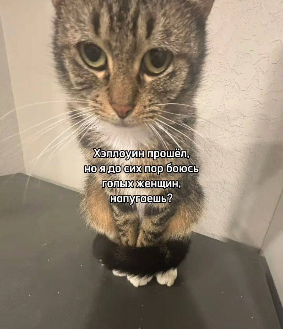 {TEXT?}