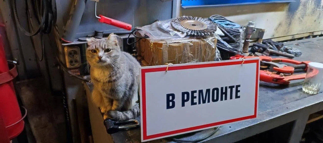 {TEXT?}