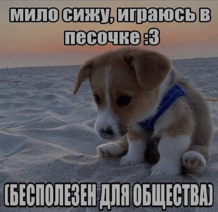 {TEXT?}