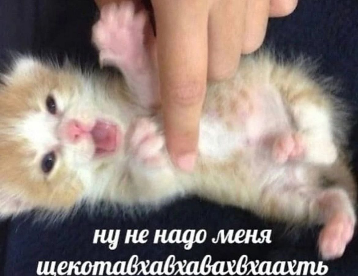 {TEXT?}