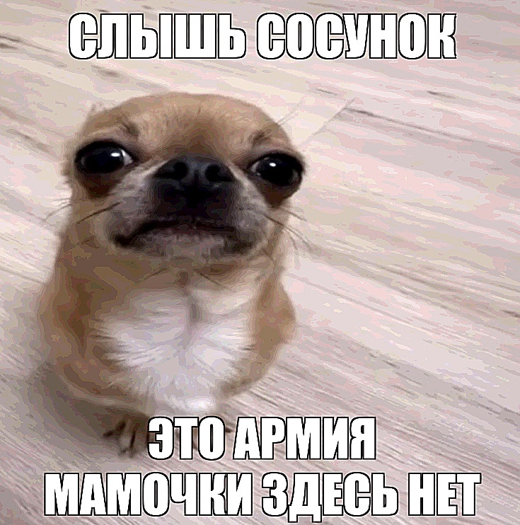 {TEXT?}