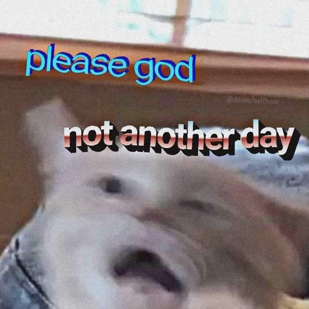 {TEXT?}