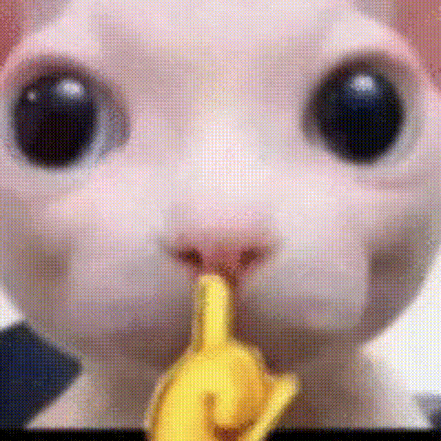 {TEXT?}