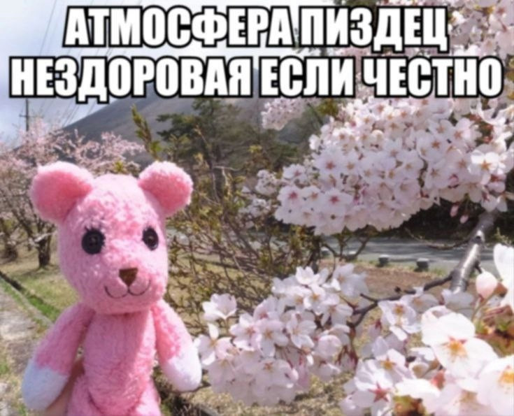 {TEXT?}