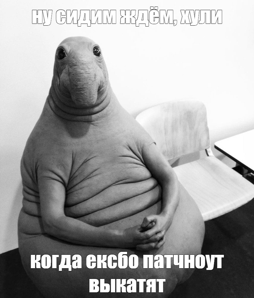 {TEXT?}