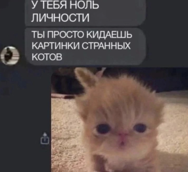 {TEXT?}