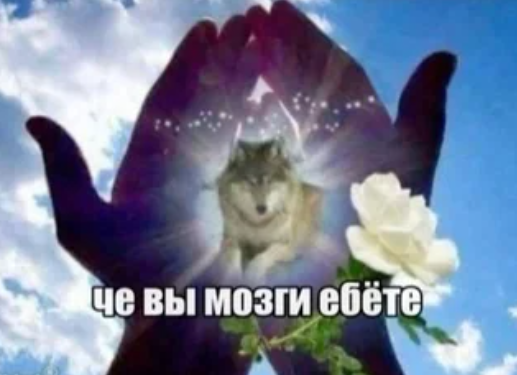{TEXT?}