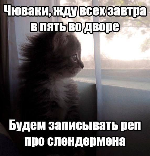 {TEXT?}
