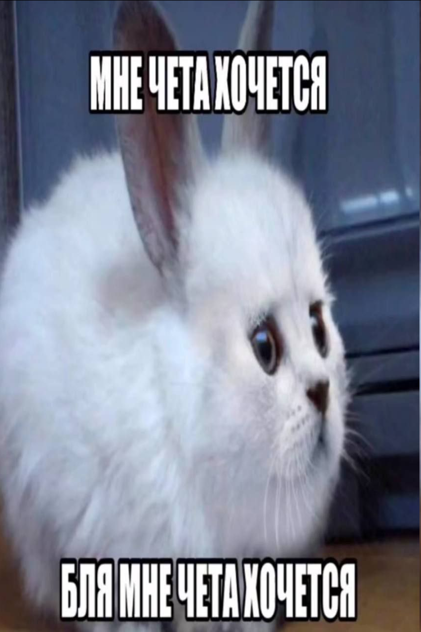 {TEXT?}