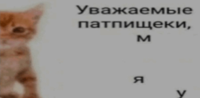{TEXT?}